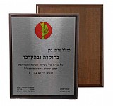 מגן הוקרה עץ משולב אלומיניום 18X23 מגן הוקרה עץ משולב אלומיניום 18X23